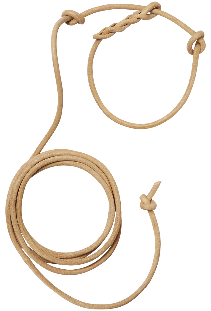 Dog leash, leather shop online Hunting equipment FRANKEN & Cie.