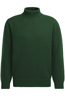 Rollneck Sweater 'Super Geelong', green