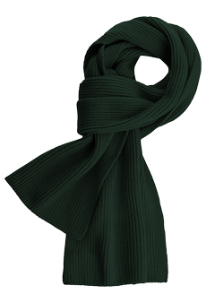 Shawl cashmere, green