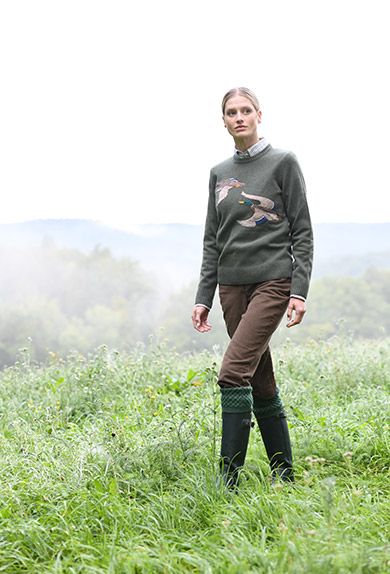 Pullover Lambswool, Enten