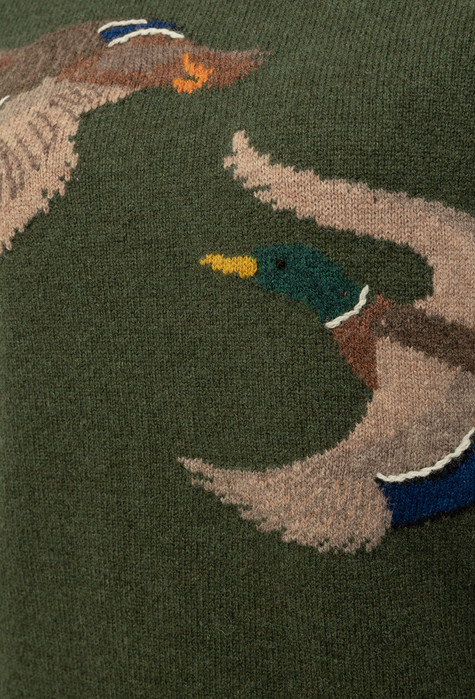 Pullover Lambswool, Enten